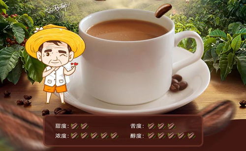 南国炭烧咖啡粉 品味海南特产的香醇魅力