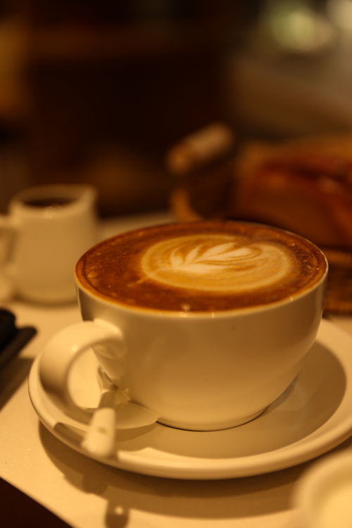 热美式奶盖咖啡咖啡店饮品摄影图 摄影素材